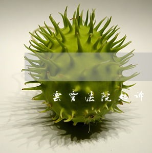 云霄法院起诉 云霄法院起诉