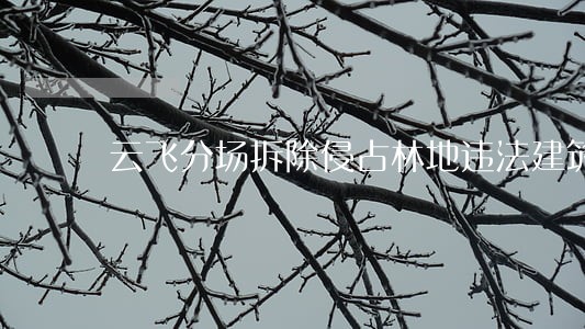云飞分场拆除侵占林地违法建筑 云飞分场拆除侵占林地违法建筑