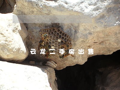 云龙二手房出售