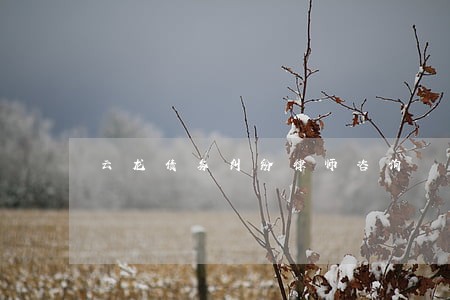 云龙债务纠纷律师咨询