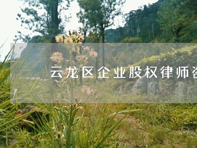 云龙区企业股权律师咨询 云龙区企业股权律师咨询