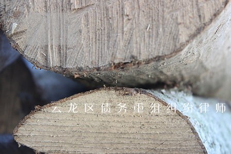 云龙区债务重组纠纷律师 云龙区债务重组纠纷律师