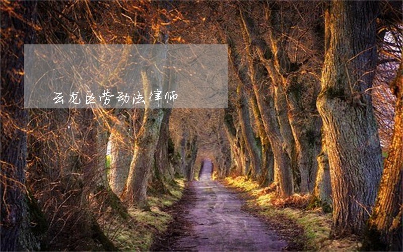 云龙区劳动法律师 云龙区劳动法律师