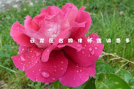 云龙区合同律师咨询费多少钱 云龙区合同律师咨询费多少钱
