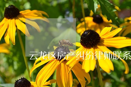 云龙区房产纠纷律师联系方式 云龙区房产纠纷律师联系方式