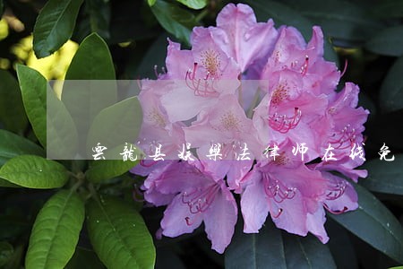 云龙县娱乐法律师在线免费咨询 云龙县娱乐法律师在线免费咨询