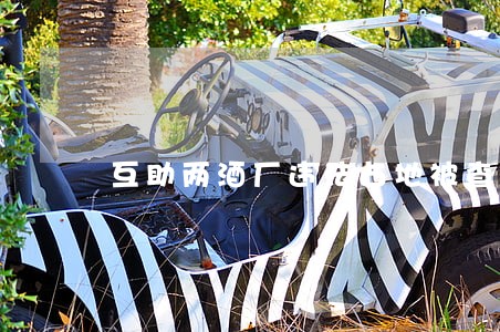 互助两酒厂违法占地被查 互助两酒厂违法占地被查