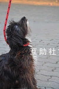互助社贷款逾期 互助社贷款逾期