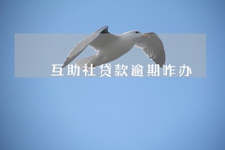 互助社贷款逾期咋办 互助社贷款逾期咋办