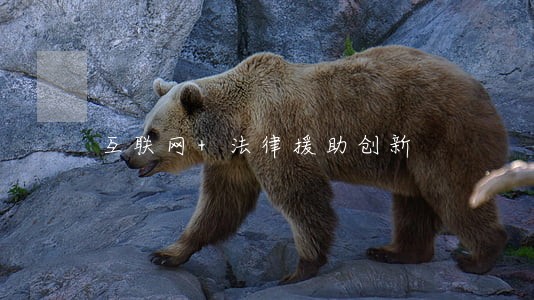 互联网+法律援助创新 互联网+法律援助创新