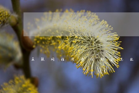 互联网信用卡逾期会怎么样 互联网信用卡逾期会怎么样