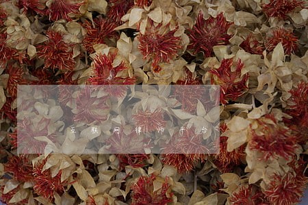 互联网律师平台 互联网律师平台