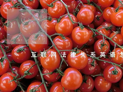 互联网法律关系英语怎么说 互联网法律关系英语怎么说