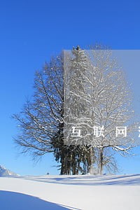 互联网法律援助市场规模 互联网法律援助市场规模