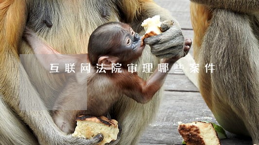 互联网法院审理哪些案件