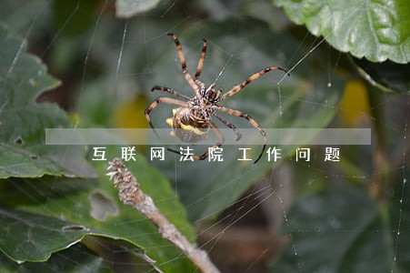 互联网法院工作问题
