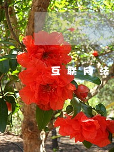 互联网法院意义文章 互联网法院意义文章