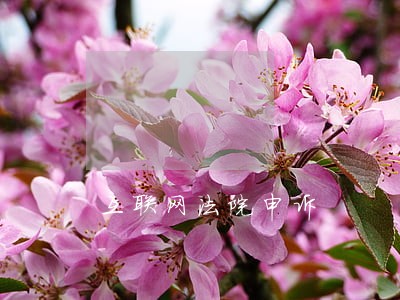 互联网法院申诉 互联网法院申诉