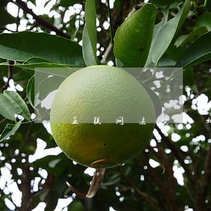 互联网法院的新闻最新消息 互联网法院的新闻最新消息
