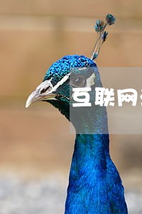 互联网法院设立的原因