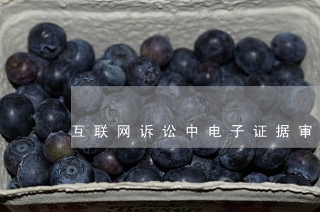 互联网诉讼中电子证据审判实务 互联网诉讼中电子证据审判实务