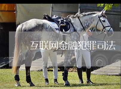 互联网金融犯罪司法 互联网金融犯罪司法