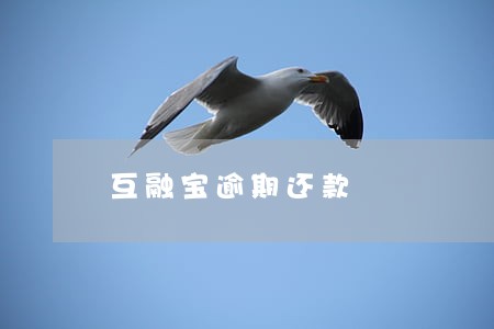 互融宝逾期还款 互融宝逾期还款