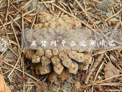 互贷网平台逾期情况 互贷网平台逾期情况