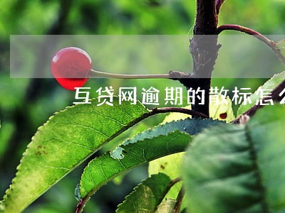互贷网逾期的散标怎么办 互贷网逾期的散标怎么办