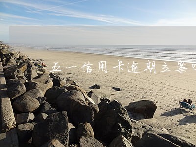 五一信用卡逾期立案吗 五一信用卡逾期立案吗