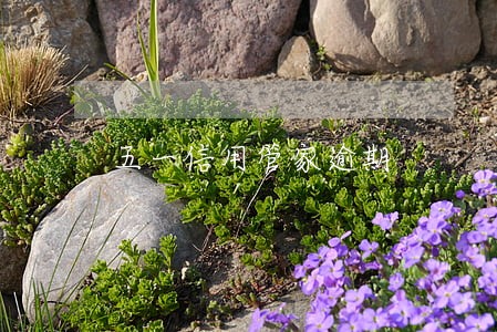 五一信用管家逾期 五一信用管家逾期