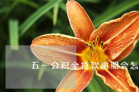 五一公积金贷款逾期会怎么办 五一公积金贷款逾期会怎么办