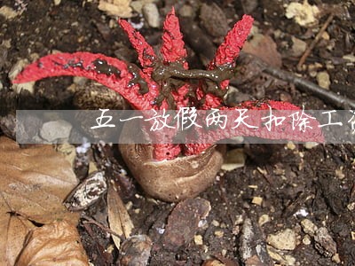 五一放假两天扣除工资是违法的吗 五一放假两天扣除工资是违法的吗