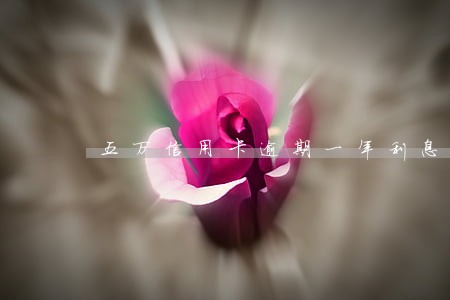 五万信用卡逾期一年利息是多少 五万信用卡逾期一年利息是多少