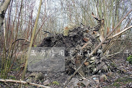 五万信用卡逾期产生一千利息 五万信用卡逾期产生一千利息
