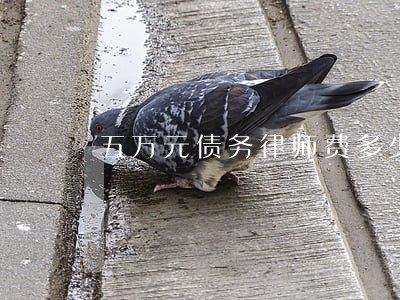 五万元债务律师费多少钱纠纷
