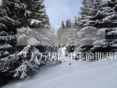五万块信用卡逾期两年 五万块信用卡逾期两年