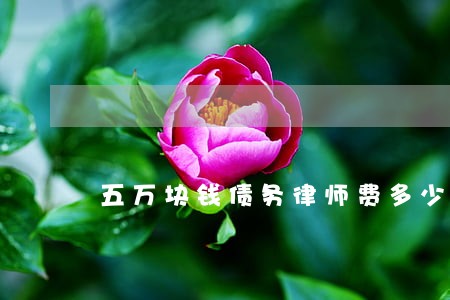五万块钱债务律师费多少钱 五万块钱债务律师费多少钱