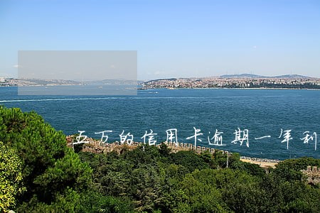 五万的信用卡逾期一年利息是多少 五万的信用卡逾期一年利息是多少