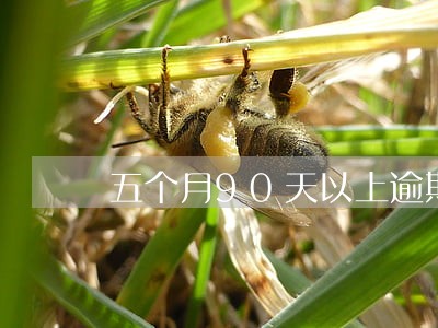 五个月90天以上逾期