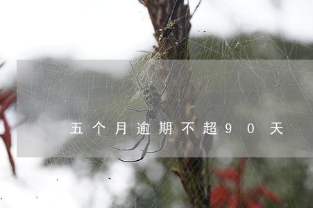 五个月逾期不超90天