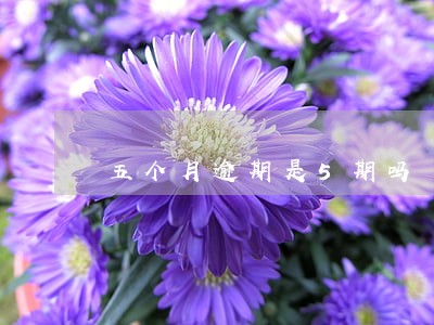 五个月逾期是5期吗 五个月逾期是5期吗