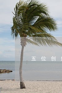 五位创始人和营销人员提起诉讼 五位创始人和营销人员提起诉讼