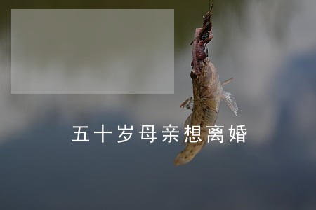五十岁母亲想离婚 五十岁母亲想离婚
