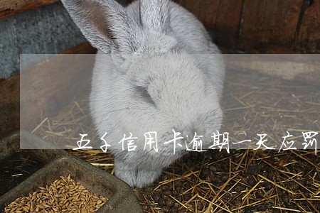 五千信用卡逾期一天应罚多少 五千信用卡逾期一天应罚多少