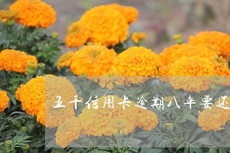 五千信用卡逾期八年要还多少 五千信用卡逾期八年要还多少