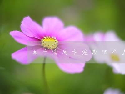 五千信用卡逾期四个月 五千信用卡逾期四个月