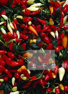 五千信用卡逾期怎么办 五千信用卡逾期怎么办