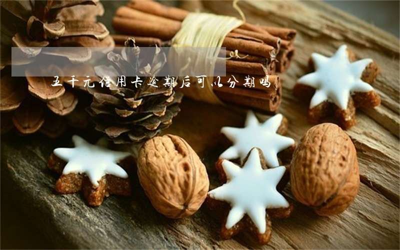 五千元信用卡逾期后可以分期吗
