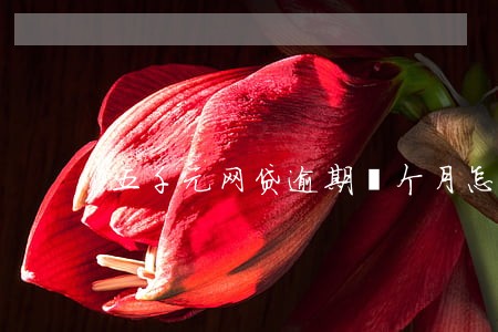 五千元网贷逾期丨个月怎么算